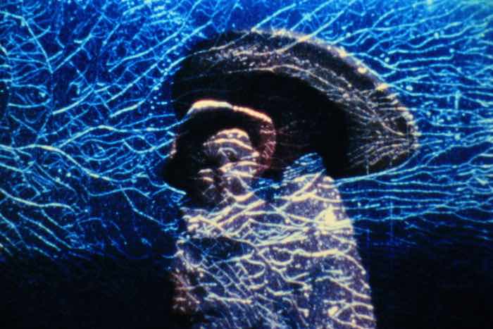 A Song Dissolved in the Dawn: Films by Phil Solomon, program 1