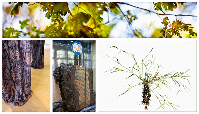 Panel for exhibit Through Nature's Lens