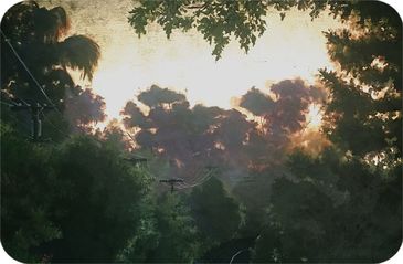 Duke Windsor: Radiance / A Solo Show