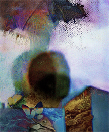 Culture Chamber, a Photography Exhibition Pop Up