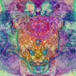 Love Portals in 5D by Adam Marz A high-vibrational, immersive art/music experience.
