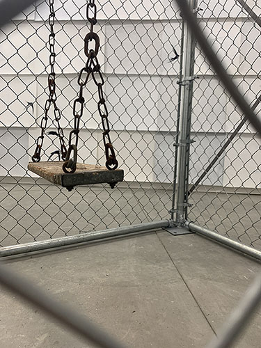 SWING