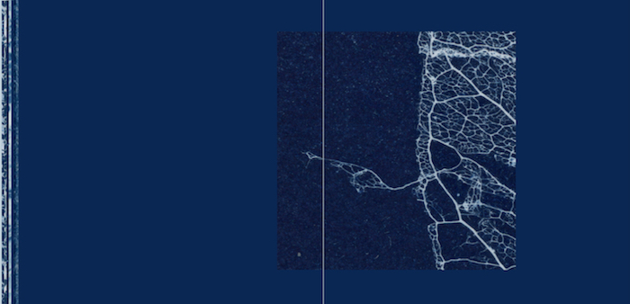 Tristan Espinoza: Index, Interiors