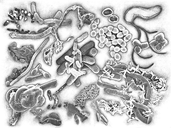 Julie Harrison, Bodies #8332: Pasadena