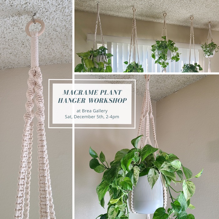 Macrame Plant Hangers Workshop