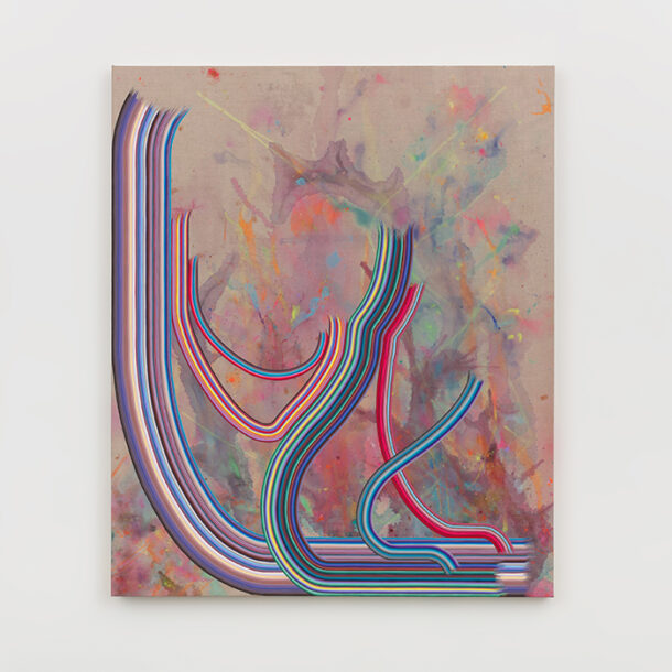 Opening Reception for Dani Tull: Take a single letter from the stream