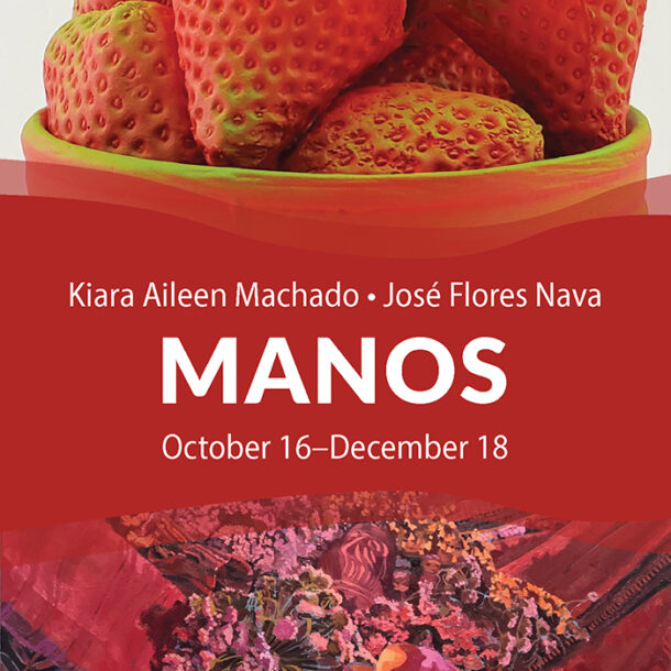 Manos Exhibition - Opening Reception at Irvine Fine Arts Center