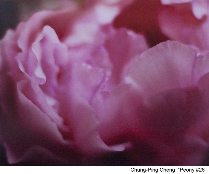 Chung-Ping Cheng  | The Peony; Opening Reception