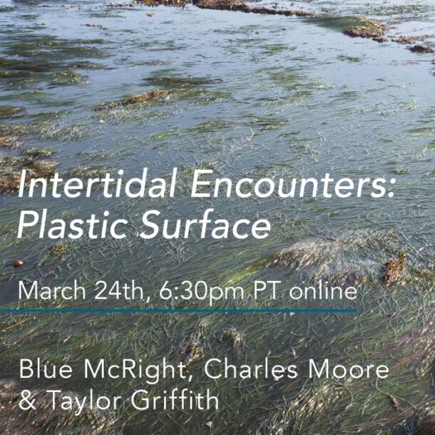 Intertidal Encounters: Plastic Surface