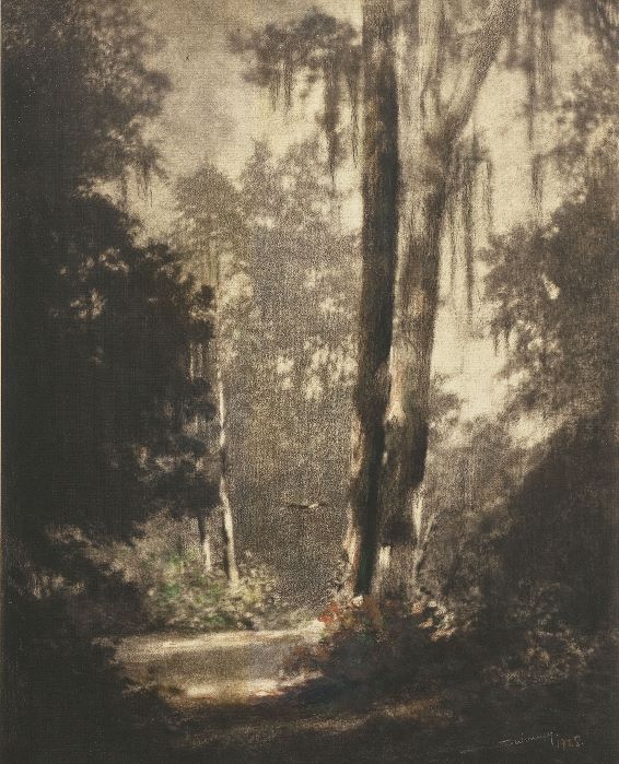 Closing Weekend: "Ode to Nature" - Early American Hand-painted Landscape Photography