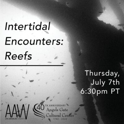 Intertidal Encounters: Reefs