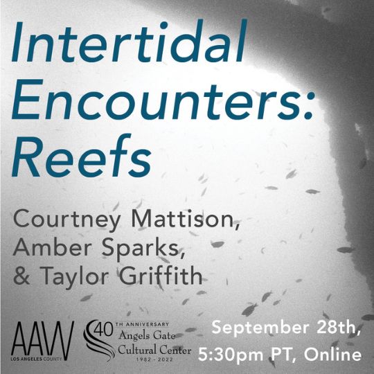 Intertidal Encounters: Reefs