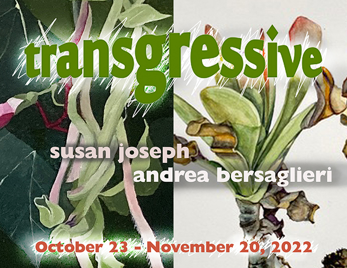 transgressive: Opening Reception