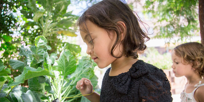 Family Garden Workshop: Spring Succulents