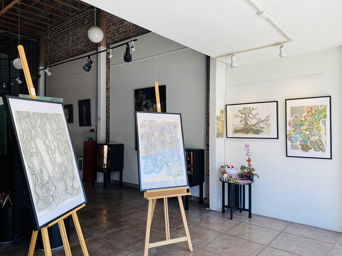 “Line, Shape, Color and Nature” Solo Show by Cecilia Petasne