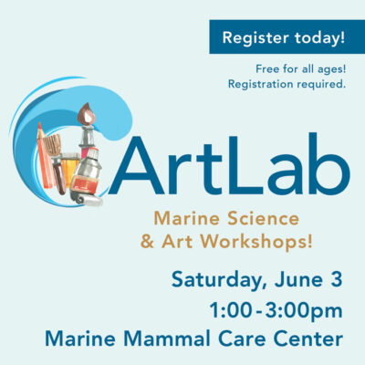 ArtLab - Art & Marine Science Workshop -June 2023