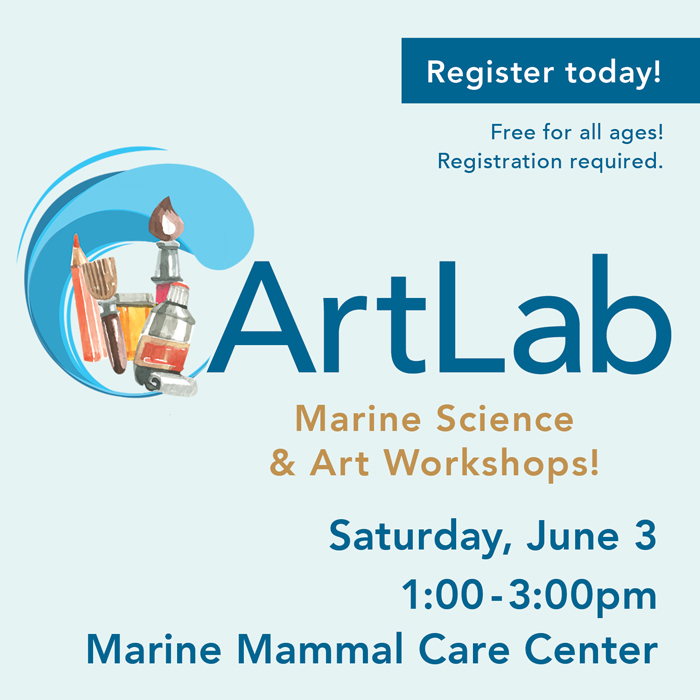 ArtLab - Art & Marine Science Workshop -June 2023