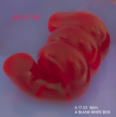 GELATINE