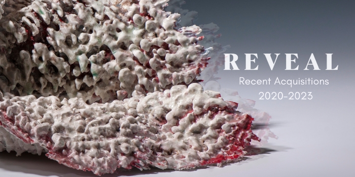 Opening Reception for REVEAL: New Acquisitions