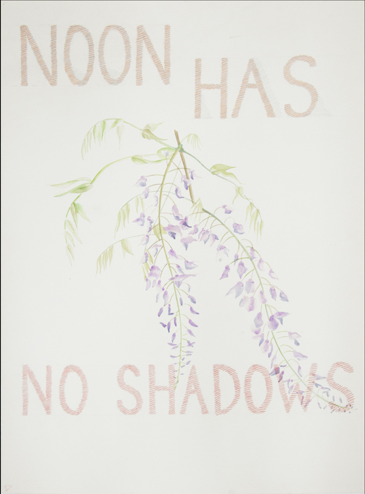 Rosemary Mayer: Noon Has No Shadows