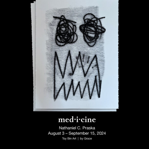 Toy Bin Art Presents " med·i·cine" - solor exhibition by Nathaniel C. Praska