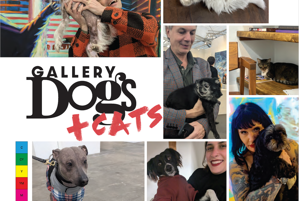 Gallery Dogs & Cats