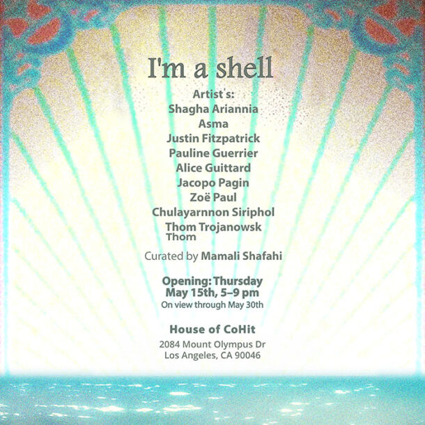 I am Shell Curated by Mamali Shafahi