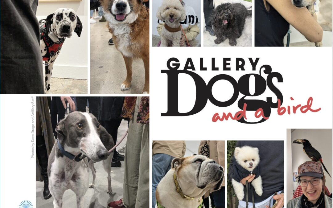 GALLERY DOGS (and a bird!)