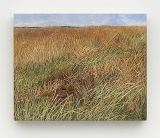 Pam Posey: Field Trip