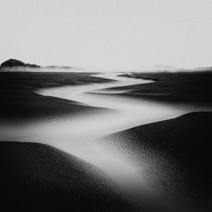Sue Park: Anthology of Light