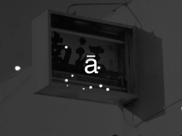 trace | Group Exhibition