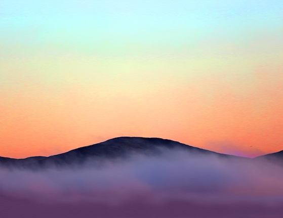 Carolyn Marks Blackwood - On The Edge - Photography Exhibition