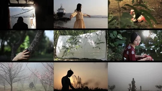 Video Art Screening - "still… moving: qi, earth, and a meditative evening for climate healing"
