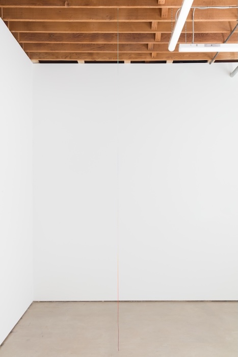 Casey Callahan and Jack Ryan: Visual Snow
