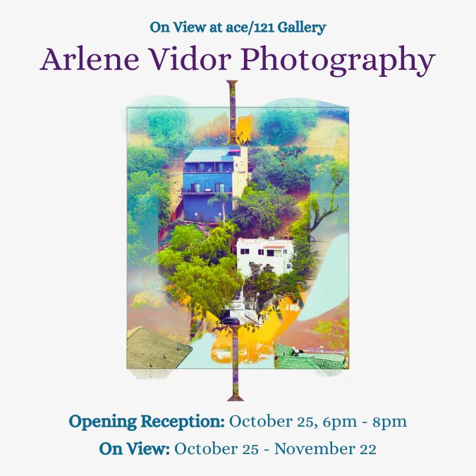 Arlene Vidor Photography
