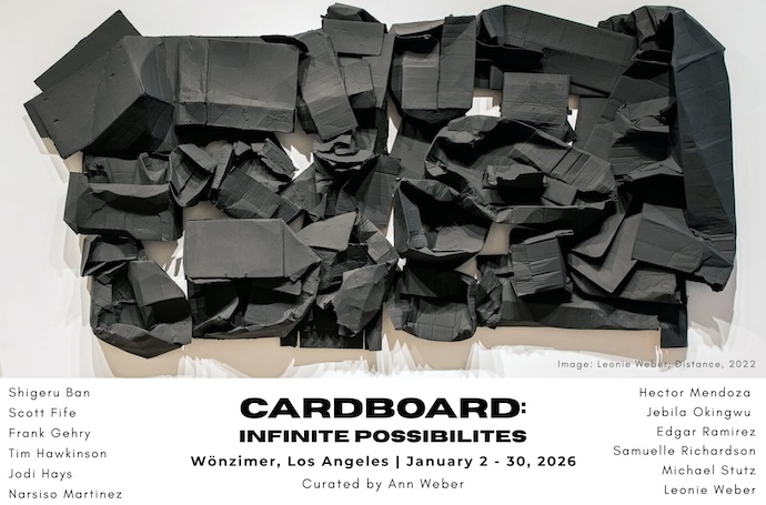 Cardboard: Infinite Possibilities