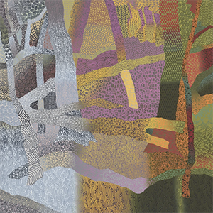 Christopher Schade: Strange Land
