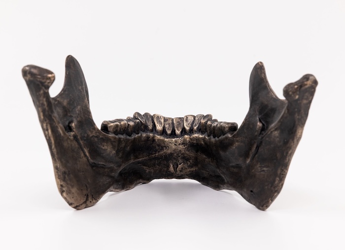 Camilla Taylor: Unkindness ~ Opening Reception