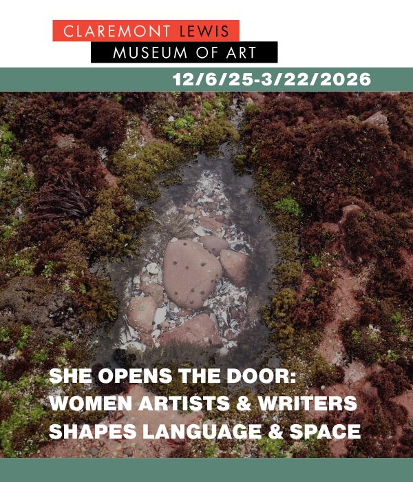 She Opens the Door Public Reception