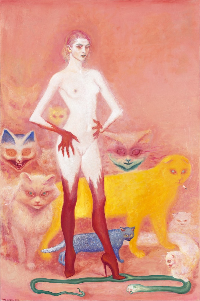 rozowa idol auto koty 24 olej