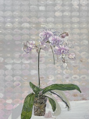 Josh Dorman: The Long View