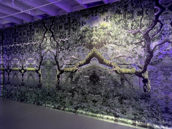 someplace, somewhere