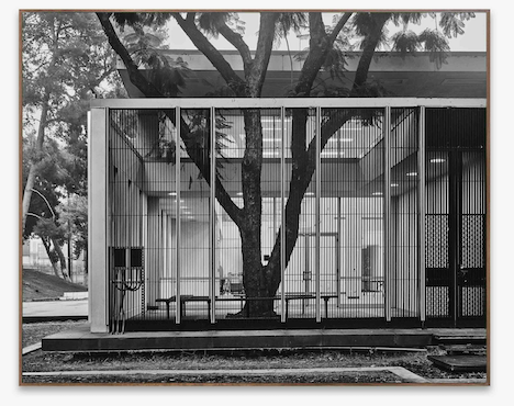 Amir Zaki: No Dust to Settle