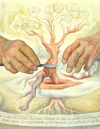 “Sin Poder Mirar” – The Eye/I as Surrealistic Oracle and Existential Portal in 20th and 21st Century Art