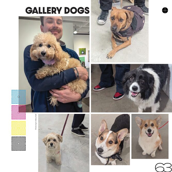 GALLERY DOGS March/April 2026