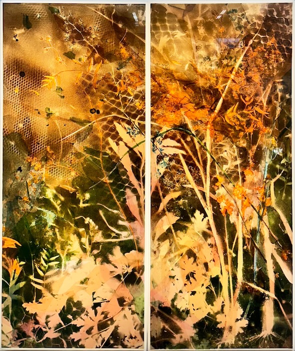 Art Opening; Maria Greenshields-Ziman