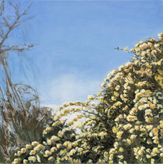 Art Opening Reception - Victoria Loschuk, "Verdant Rapture", Paintings and Drawings