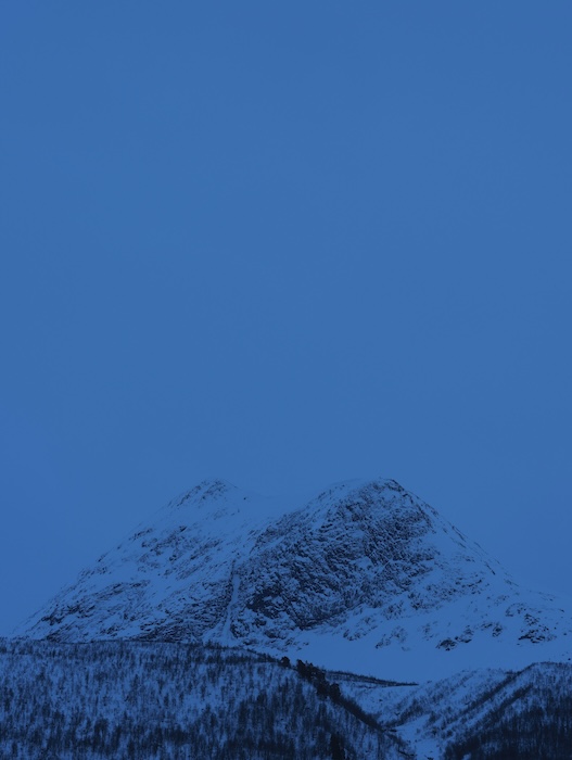 Catherine Opie: Holding Blue