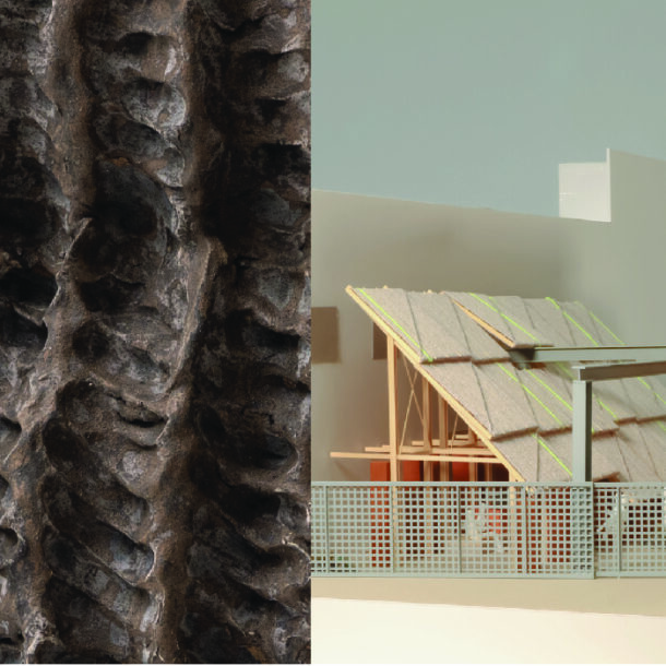 Opening Reception: tierra & Earthen Comforts