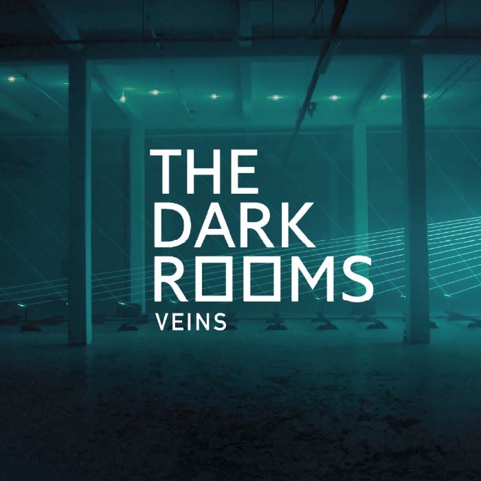 THE DARK ROOMS VEINS